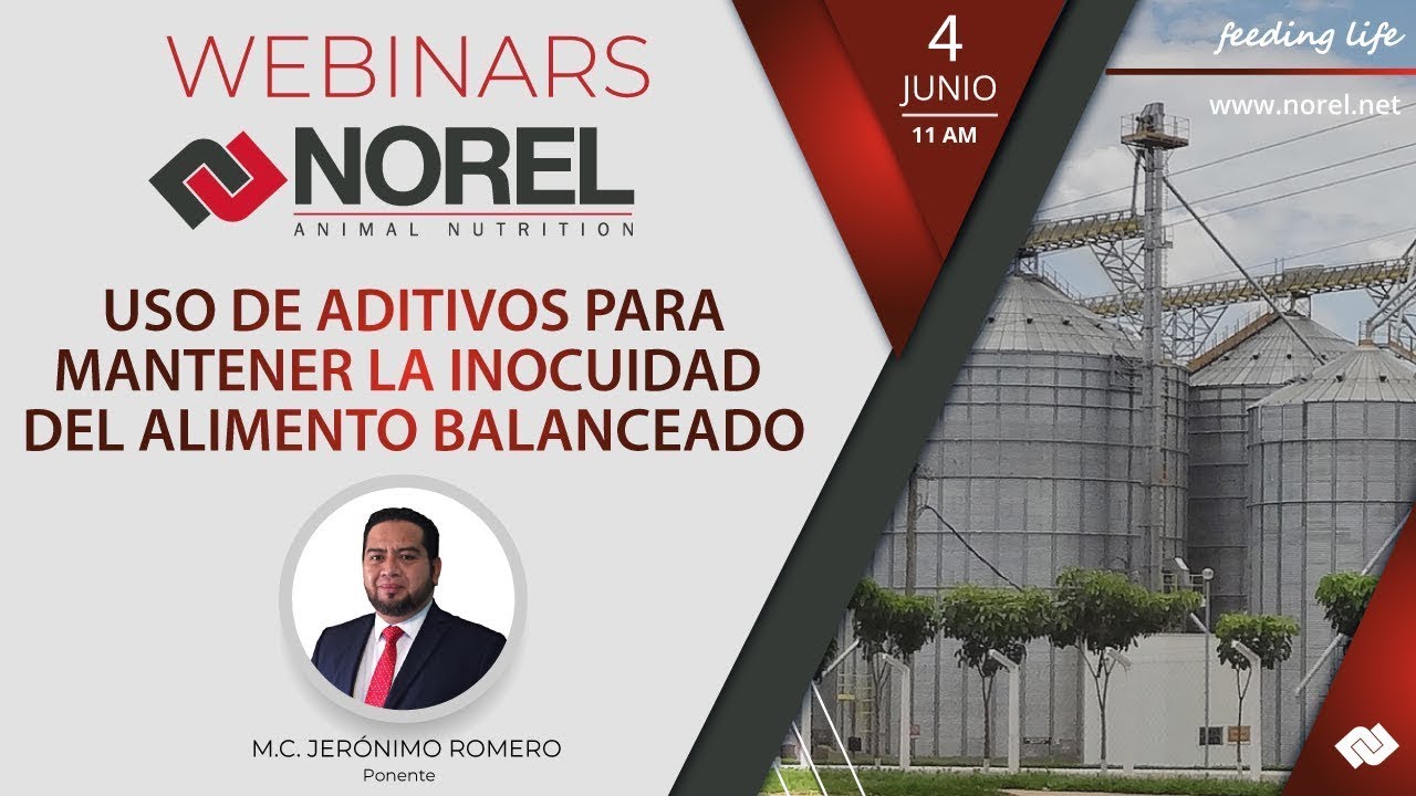 WEBINAR NOREL: USO DE ADITIVOS PARA MANTENER LA INOCUIDAD DEL ALIMENTO BALANCEADO