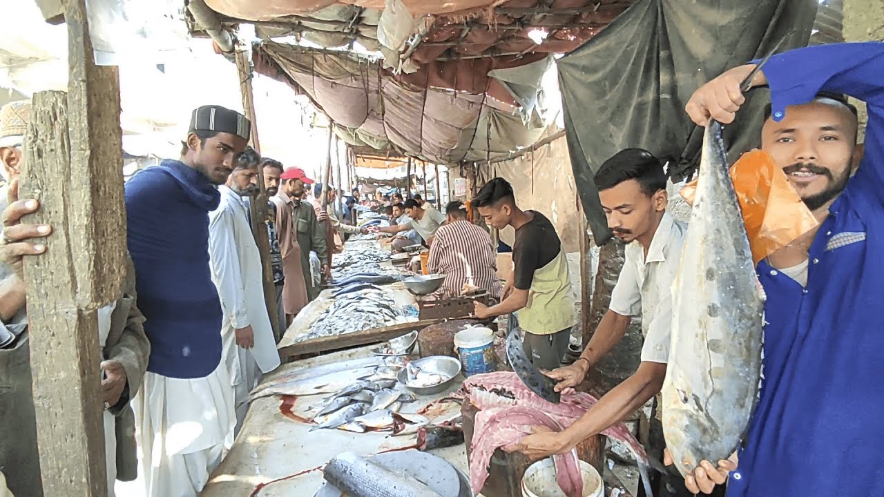 Update Orangi Town Fish Market - Machli Bazaar - Bangali Para Karachi
