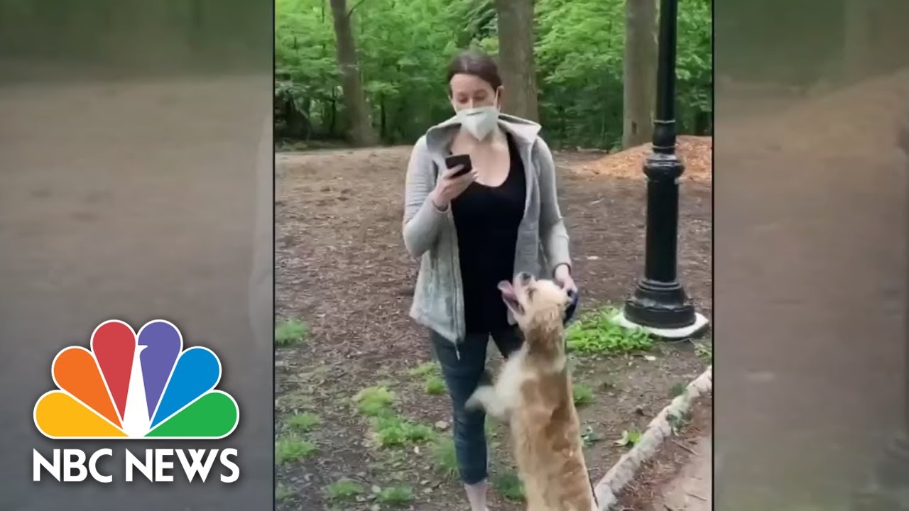 White Woman Who Called 911 On Black Birdwatcher Charged For Second Call Falsely Claiming Assault