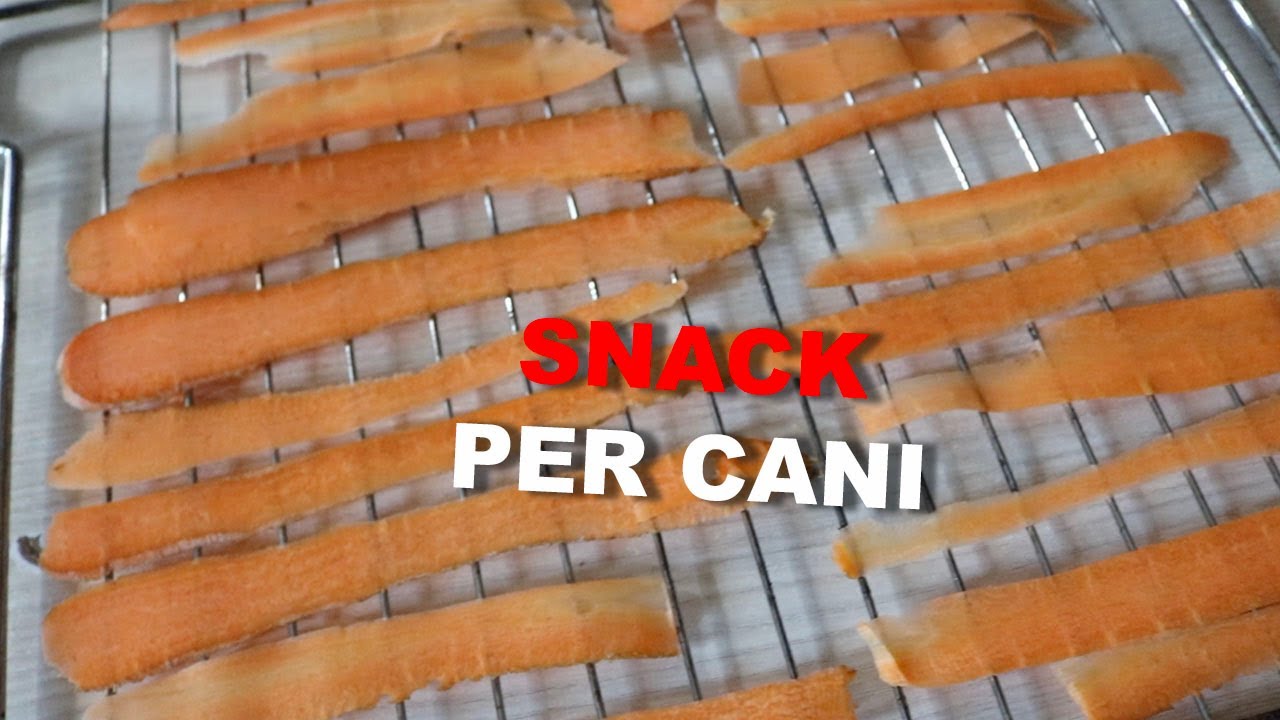 Come fare snack per cani fai da te
