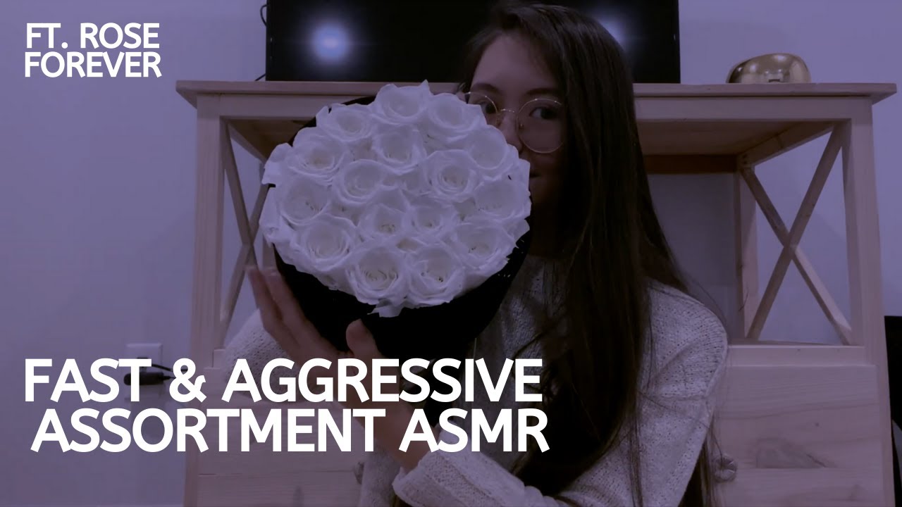 ASMR | Fast and Aggressive Assortment ft. Rose Forever
