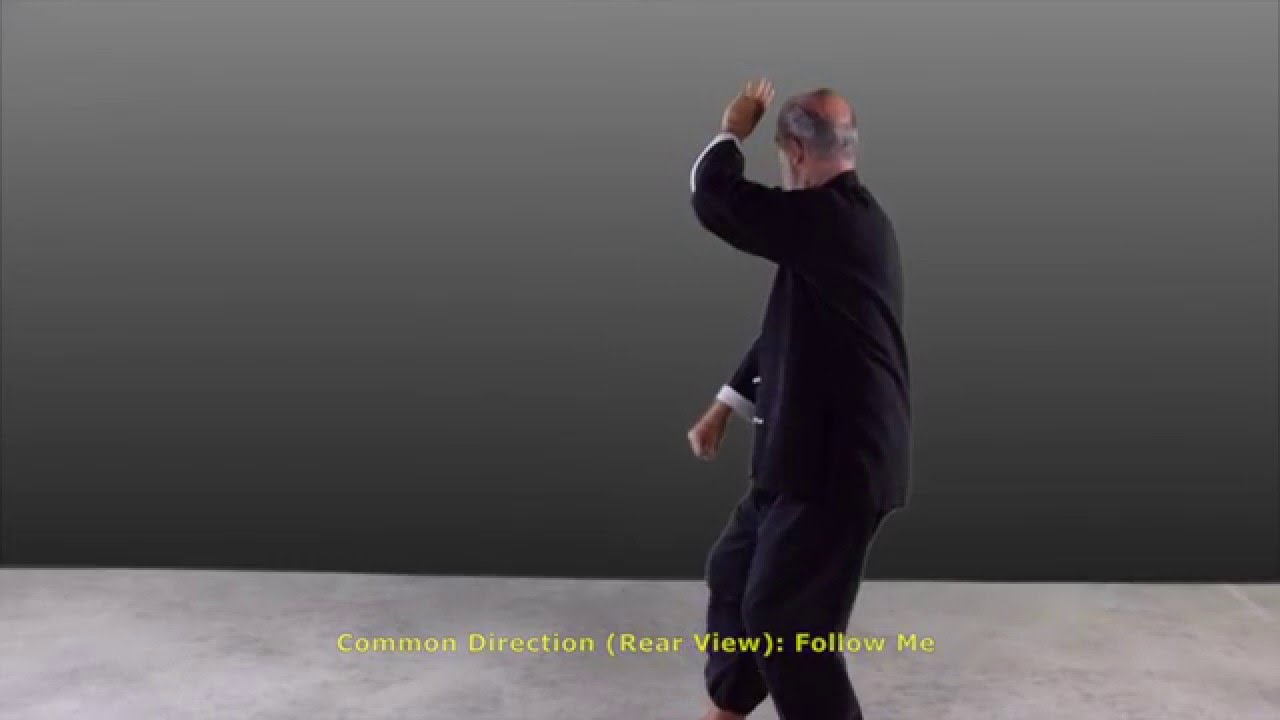 Gesture #21 Turn & Chop with Fist