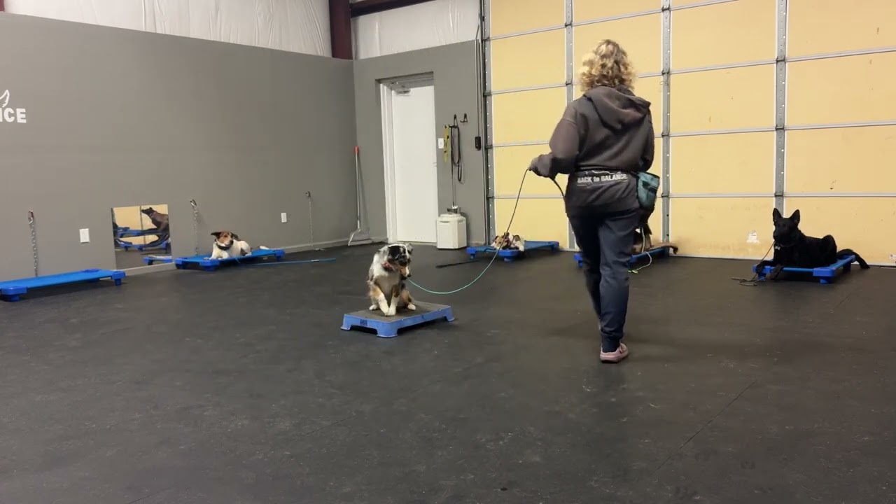 Group training session with the current board and trains 