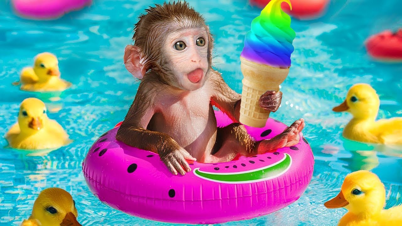 Mono KoKo disfruta de un helado arco&iacute;ris en su incre&iacute;ble fiesta en la piscina?! | MONO KOKO ESP