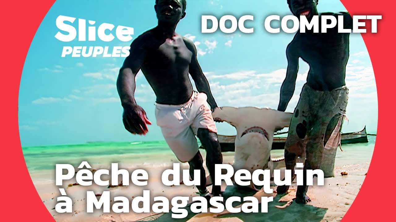 La pêche du requin à Madagascar | SLICE | Documentaire complet