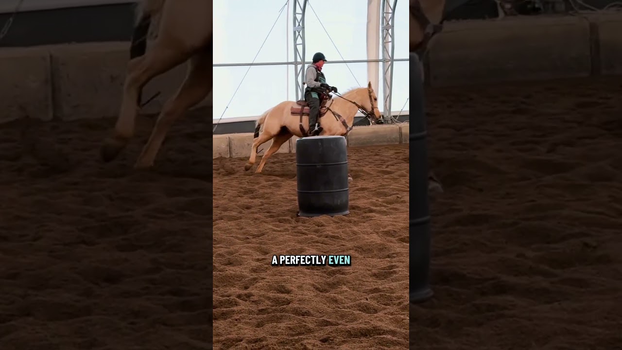 4 Circle Drill + Barrels