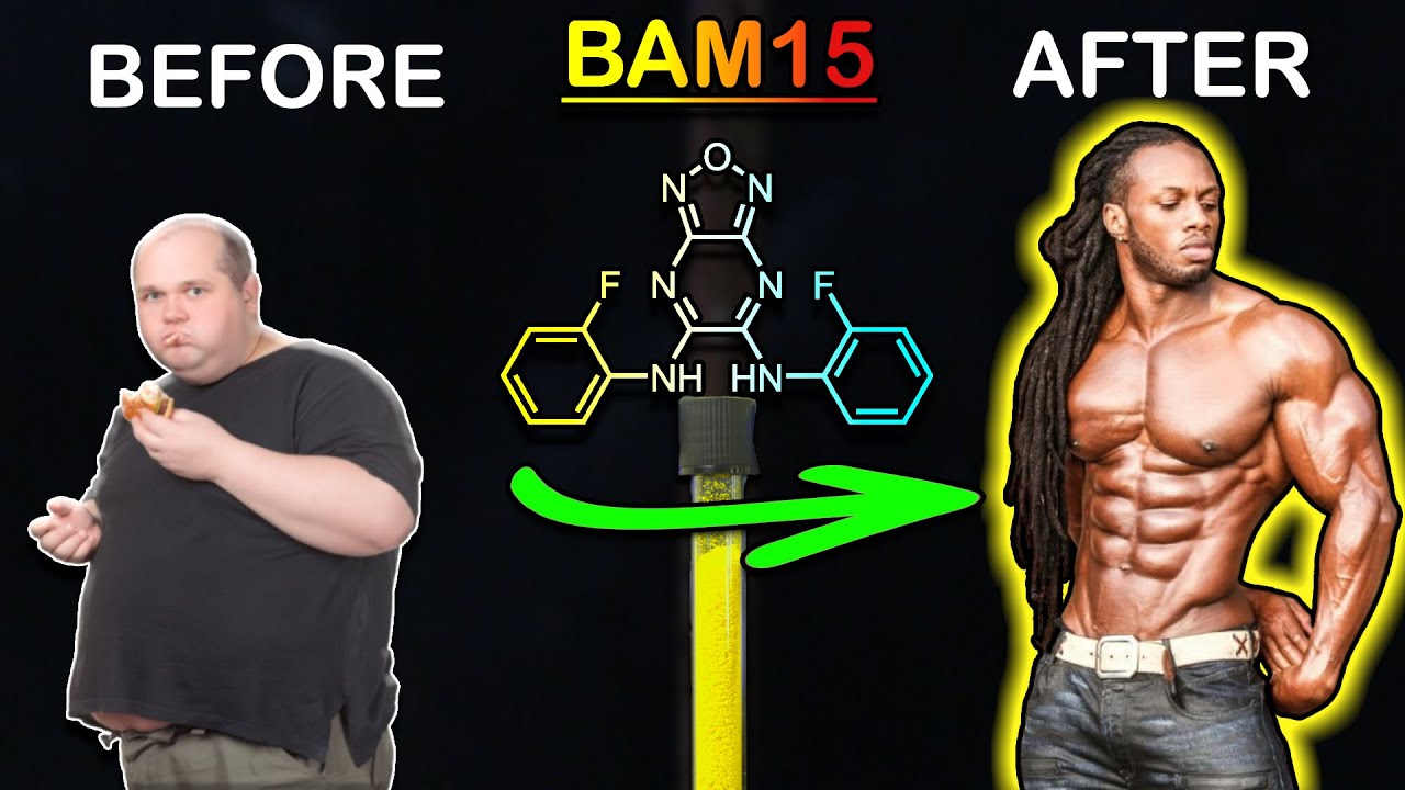 Создание экспериментального жиросжигателя (BAM15)