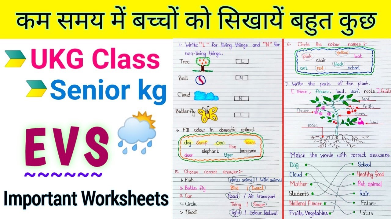 UKG EVS | EVS Worksheet for UKG | Senior kg