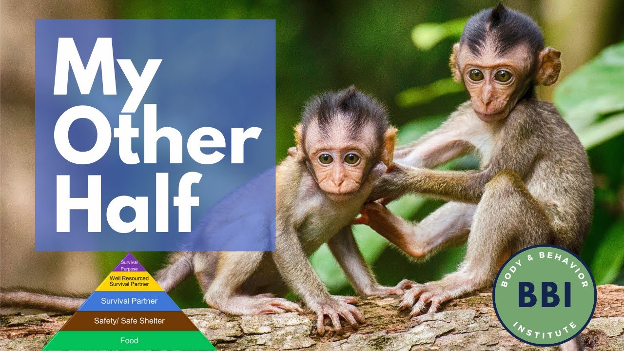 Survival Partner: How human connection impacts emotions and behaviors