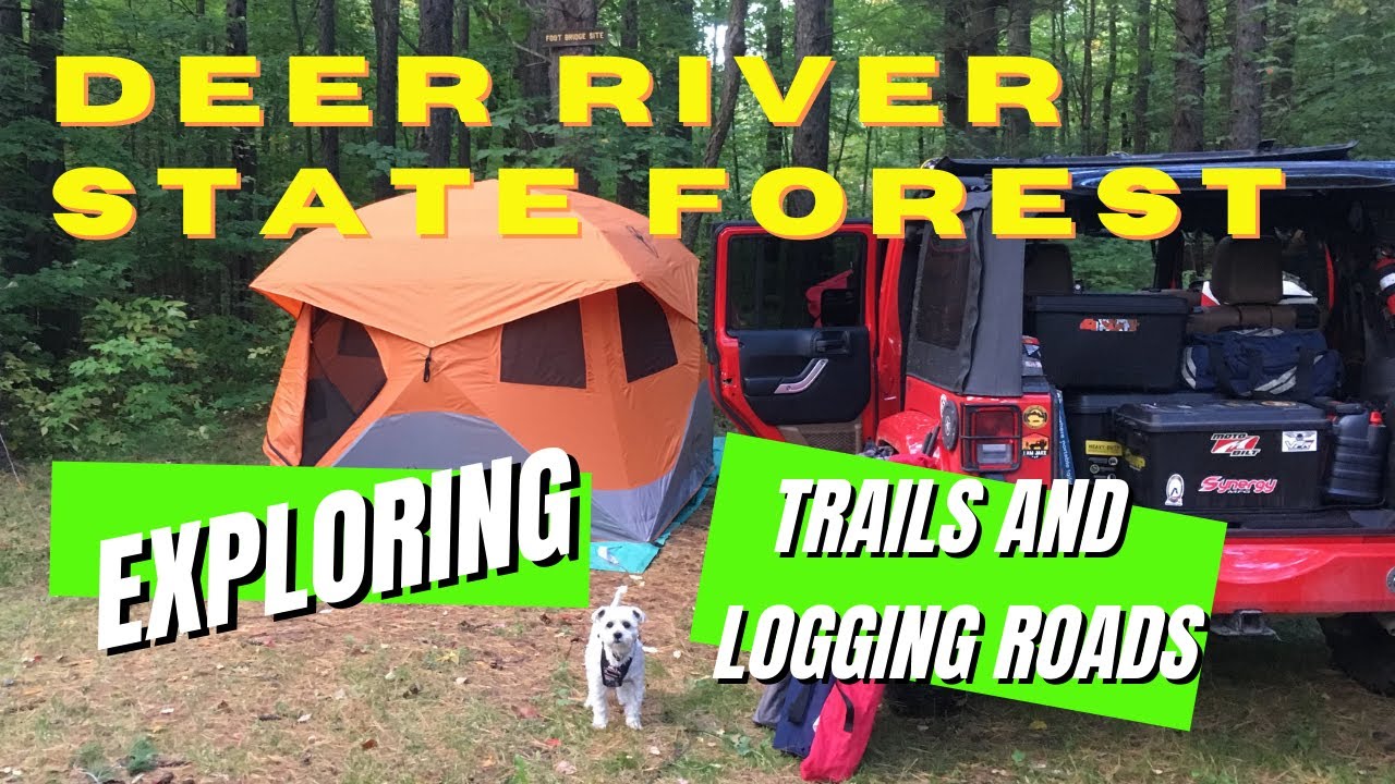 Free camping sites? Exploring Deer River NY State Forest by jeep.