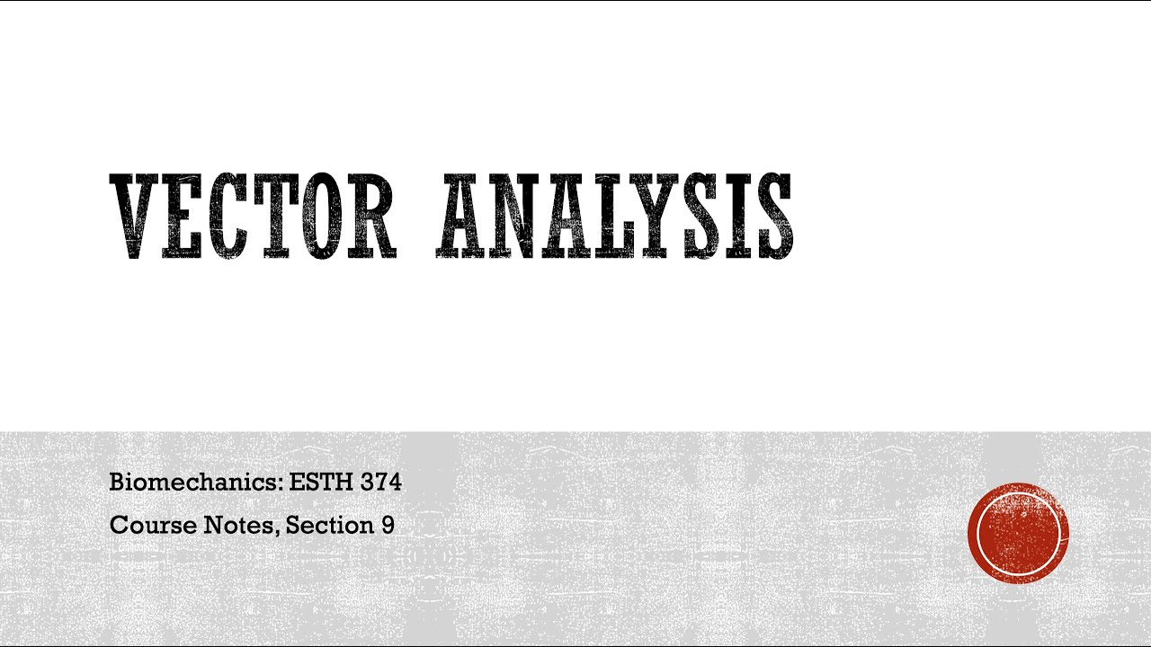 Vector Analysis - Biomechanics