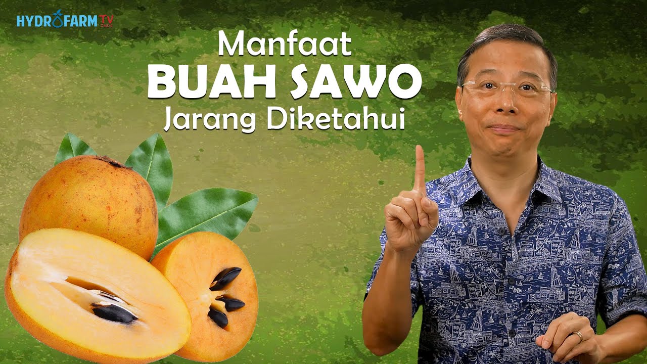 MANFAAT BUAH SAWO JARANG DIKETAHUI