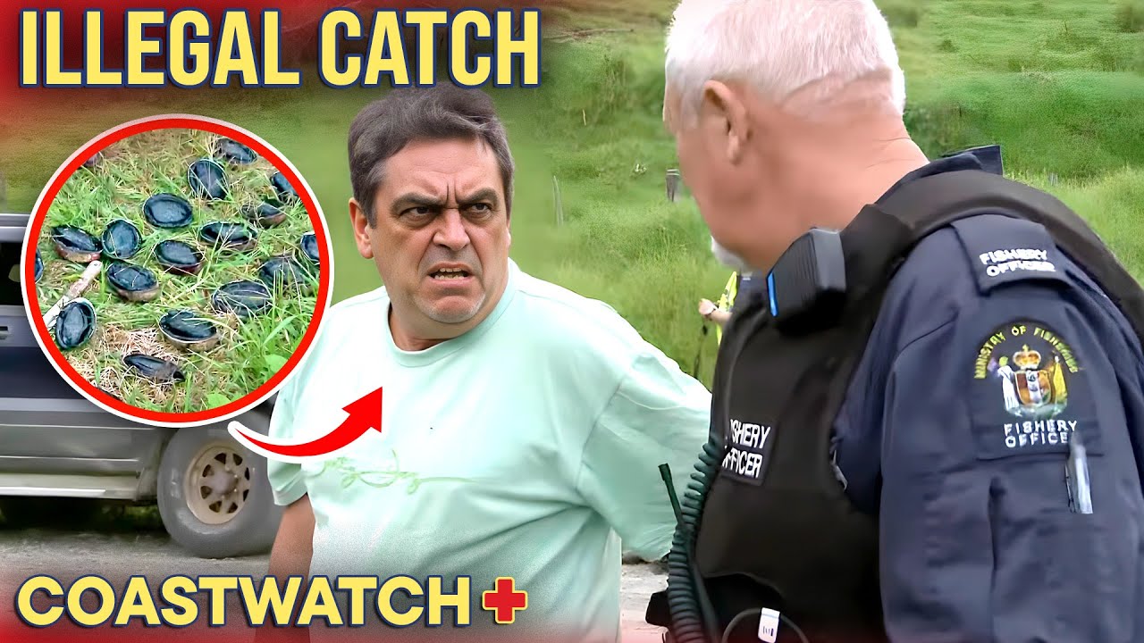 Poacher Loses It All After Illegal Paua Catch! | Coastwatch - S7 E4 (FULL EPISODE)