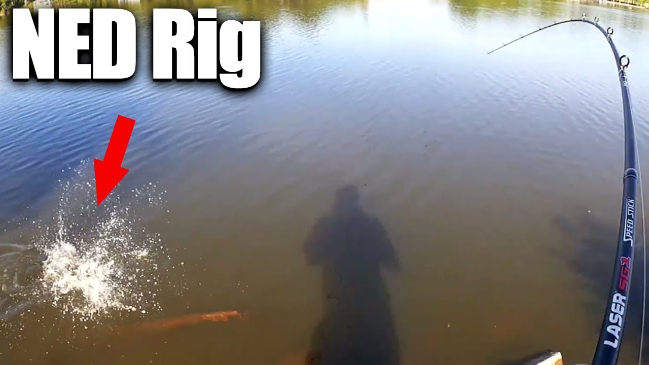 Bank Fishing with a NED Rig and How I Caught a Bass - Finally!