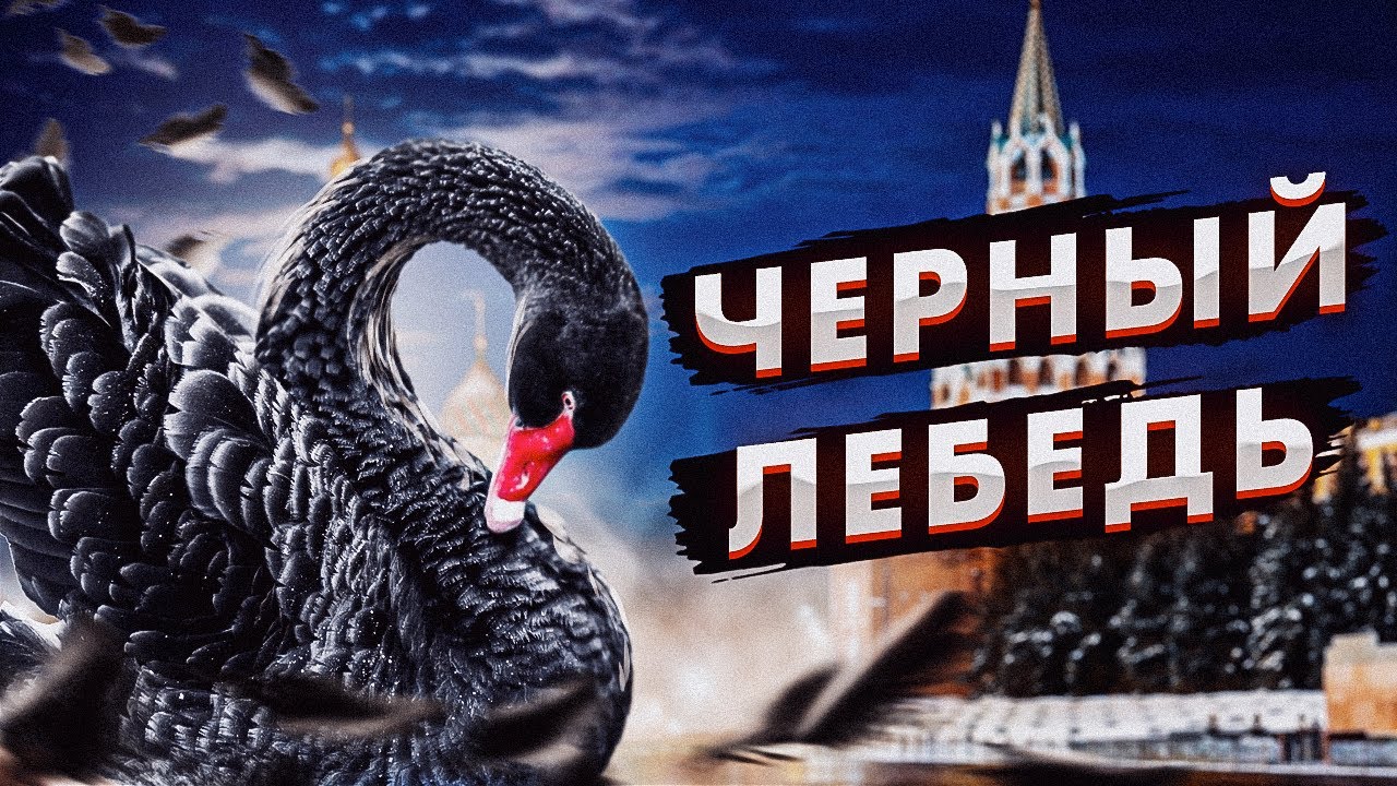 Черный Лебедь (12+)