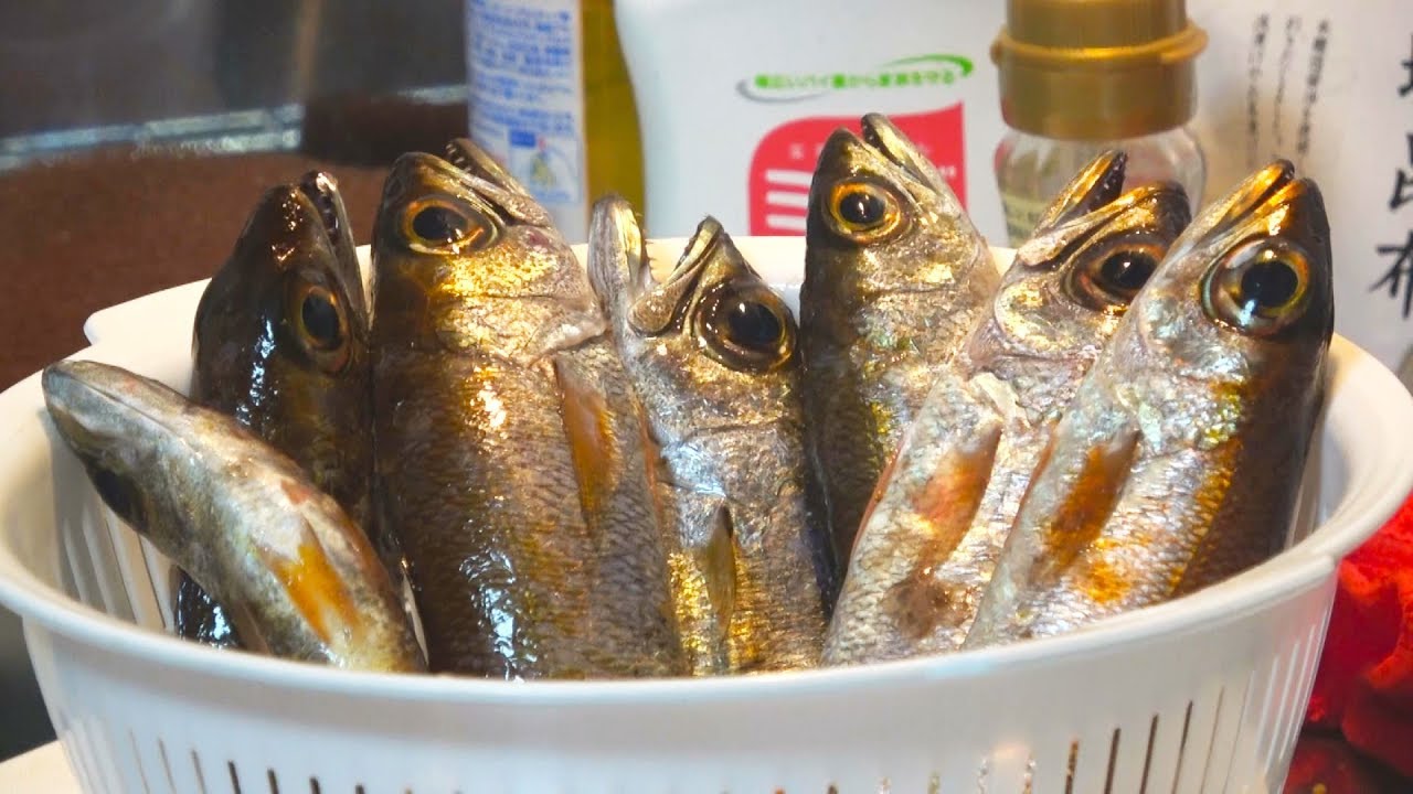釣れたてのクロムツを刺身でいただく！