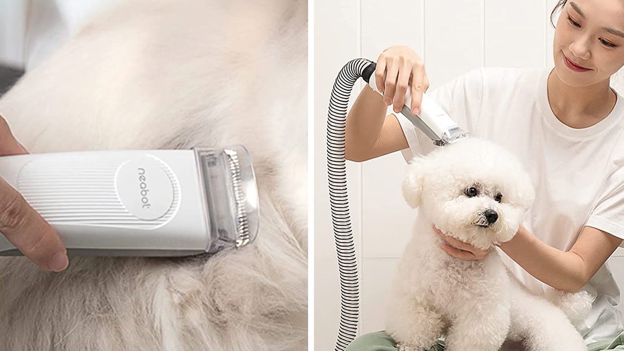 5 Things to Know About the Neabot P1 Pro Pet Grooming Kit
