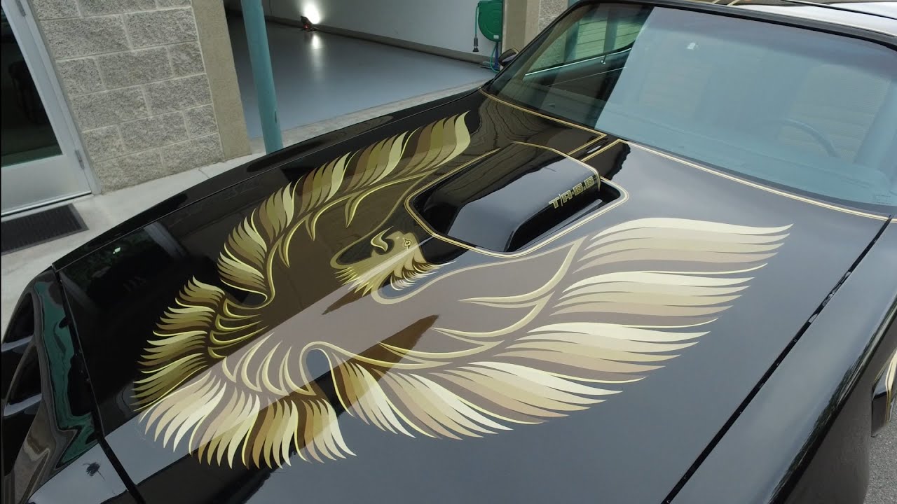 2 Thumbs Up in a 79 Trans Am
