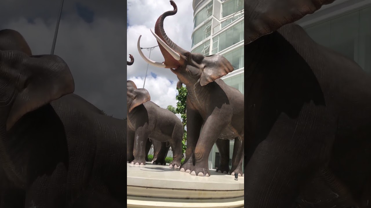 3 Elephants Garden #garden #housedesign