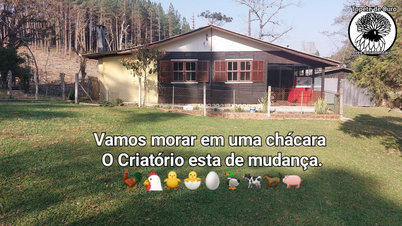 Vamos morar em uma chácara - O Criatório vai juntoooooo  - vídeo 1 .