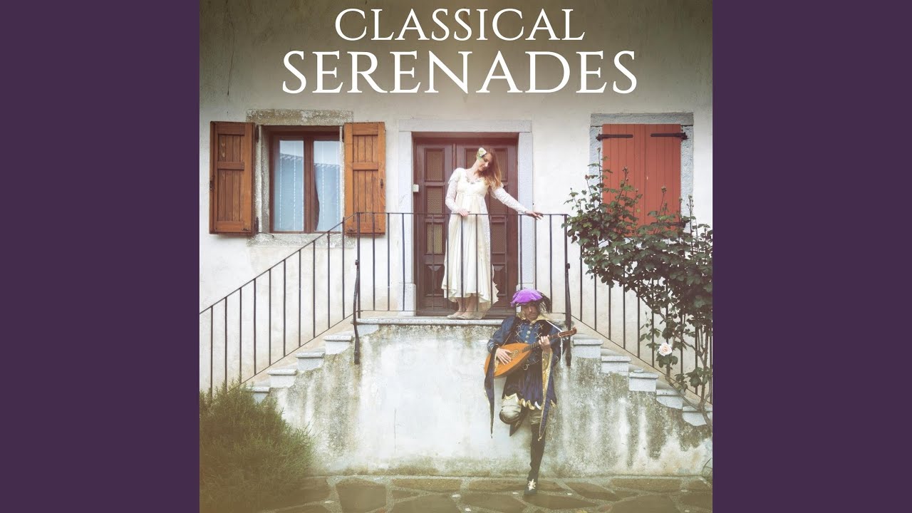 Serenade in E major Op. 22: I. Moderato