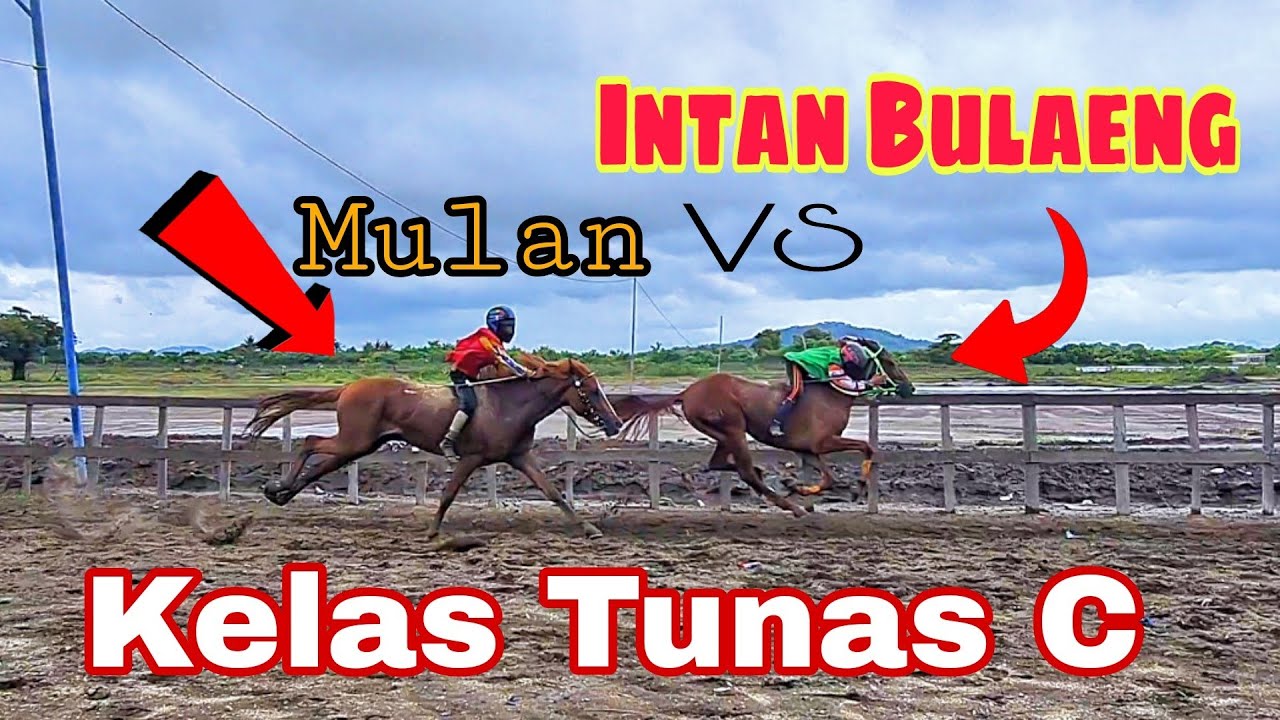Kamera di Garis Finish | MULAN VS INTAN BULAENG | Adu cepat sesama Cap Sayap | Sumbawa #horseracing
