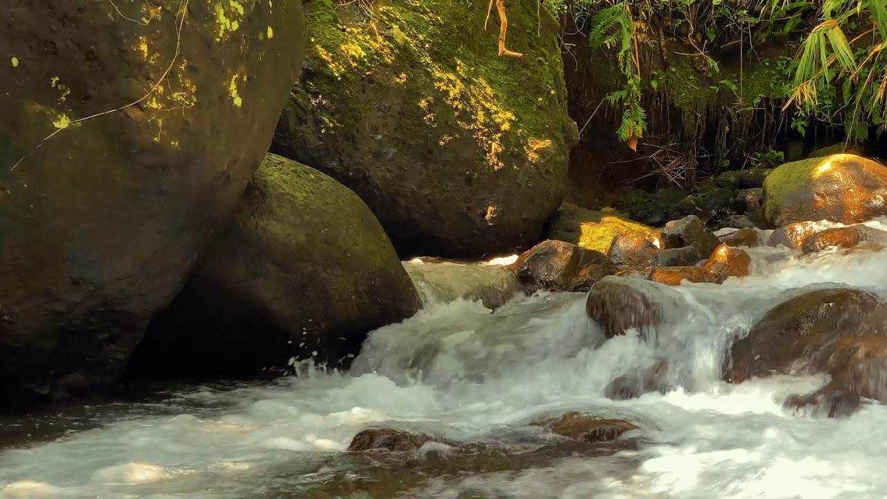 Ultra Deep Sleep River ASMR 🌊 Soothing Water Flow for Insomnia & Relaxation