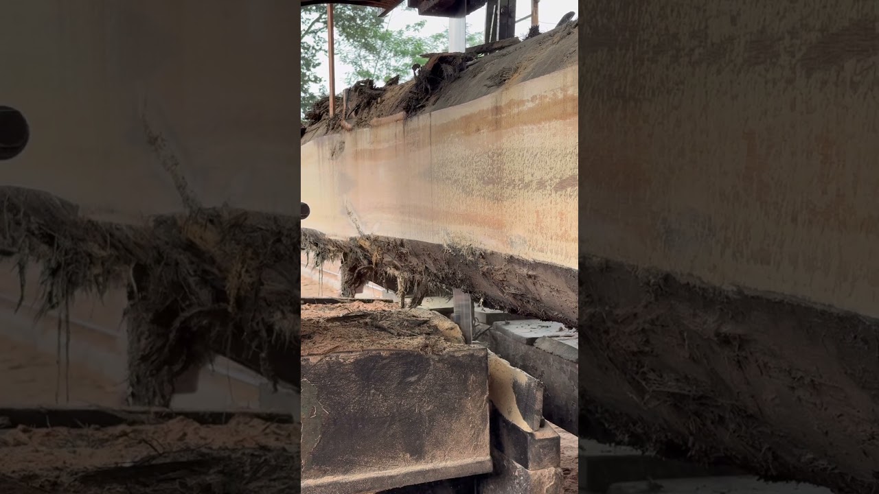 Wyjechali w Tytanie&hellip; Sawmill Woodworking wyjechał