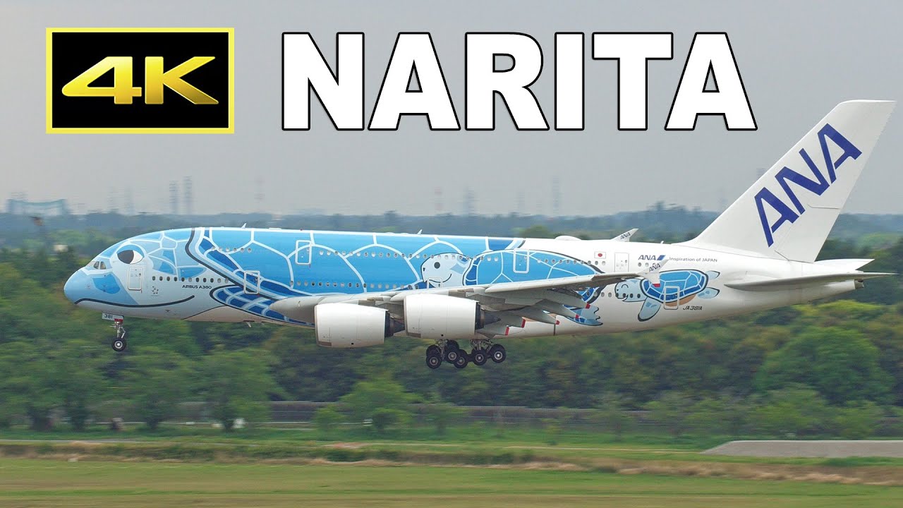 [4K] A380, A350, 787, etc. - Plane spotting at Tokyo Narita Airprt 2025 - Runway 16R / 成田空港