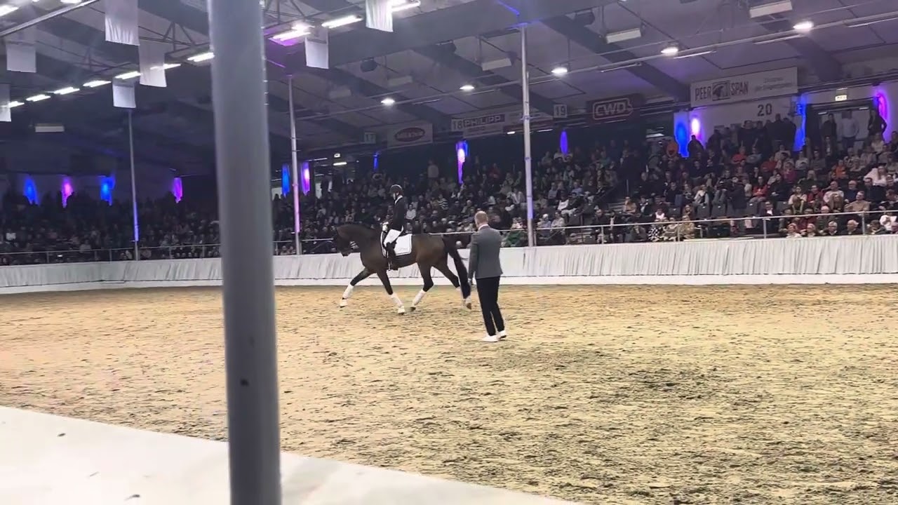 Bon My Love (Bonds x San Amour x Dream of Love)