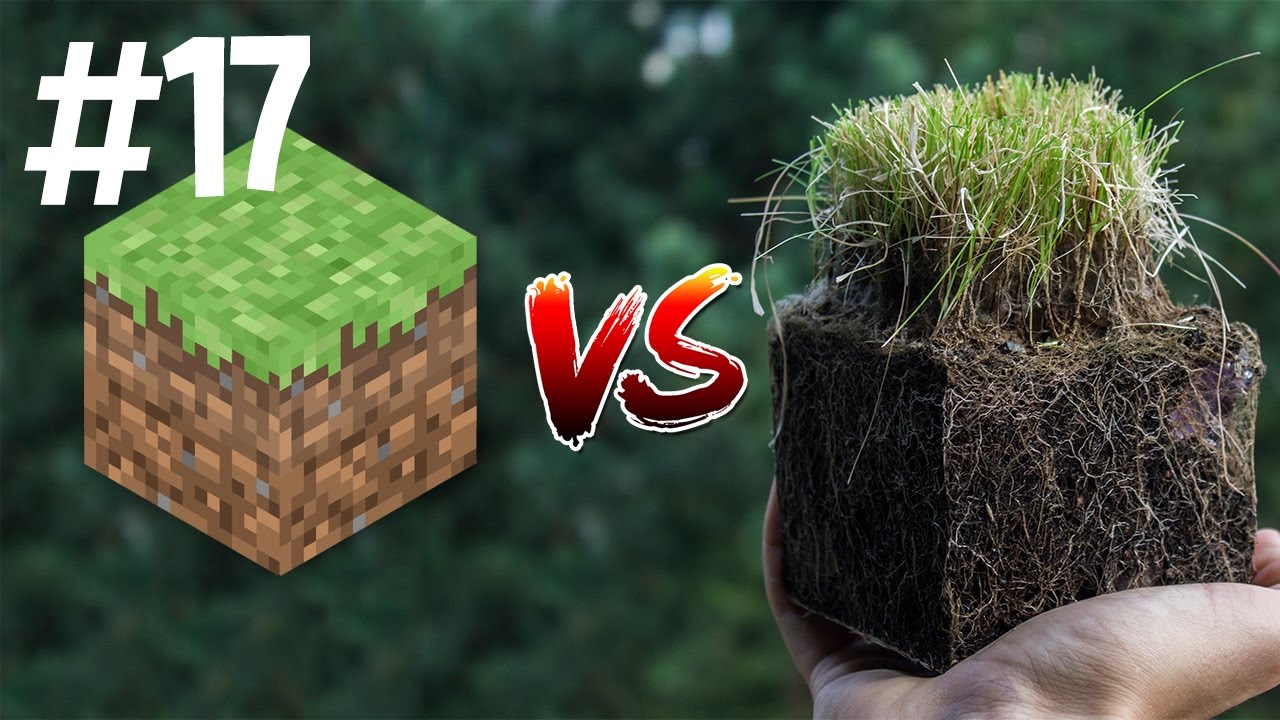 Minecraft vs Real Life 17