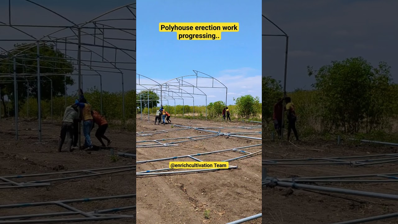 polyhouse construction process #polyhouse #polyhouse #farming #trending