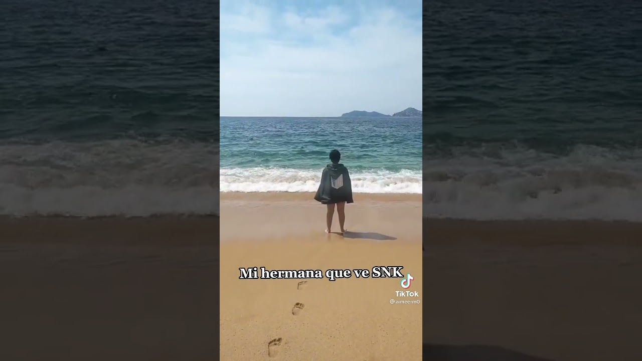 Cuando un fan de Shingeki va al Mar | Memes Shingeki No Kyojin The final season parte 2