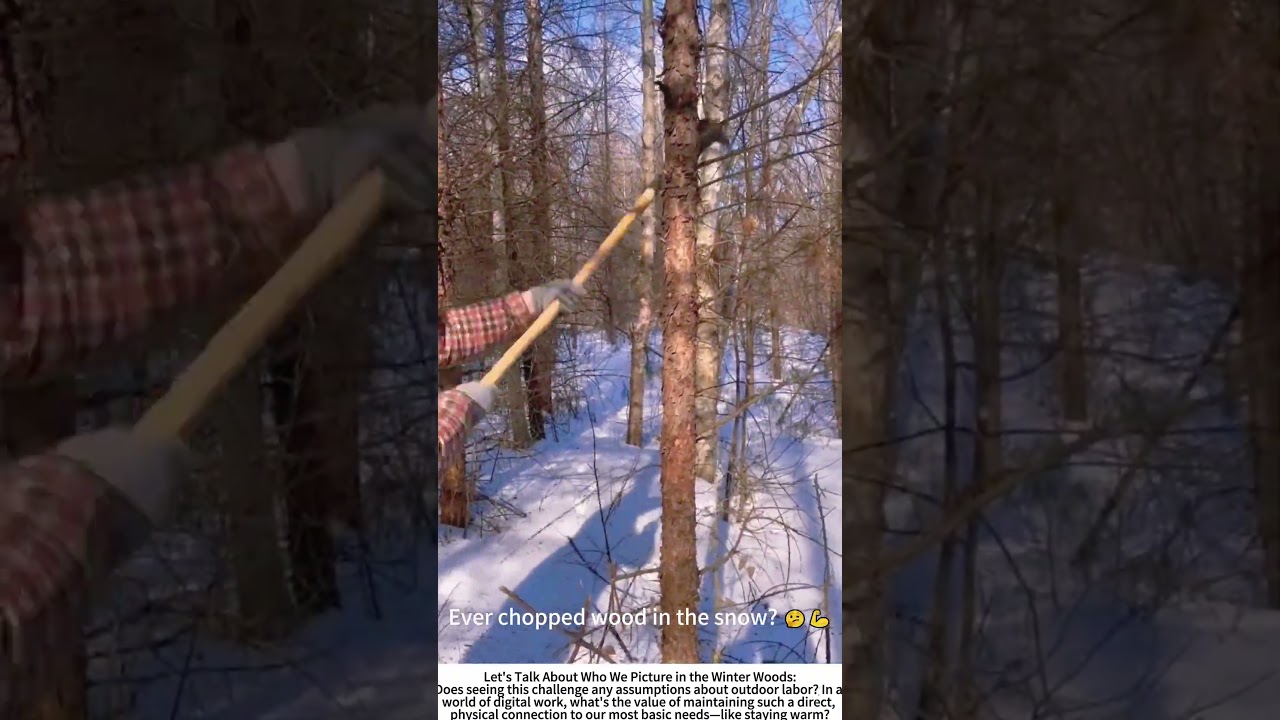 Winter Fuel: Hand-Cutting Firewood in the Snowy Forest ⛰️❄️