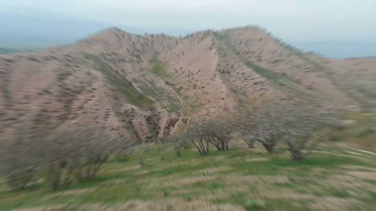 BOBOTOG'GA SAYOHAT DUSTLAR BILAN 11.04. 2024