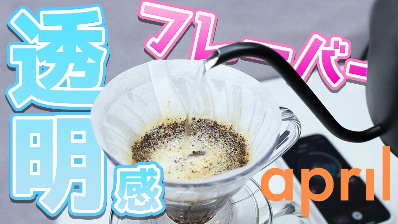 【コーヒー】驚きの透明感&フレーバーがめっちゃ強い1杯取りの入れ方｜april coffeeのV60レシピ【浅煎り向き】