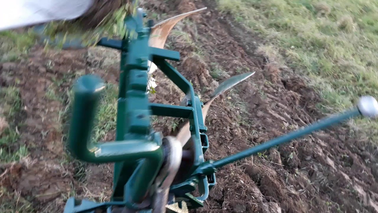 Zetor 3011 a pluh Regent