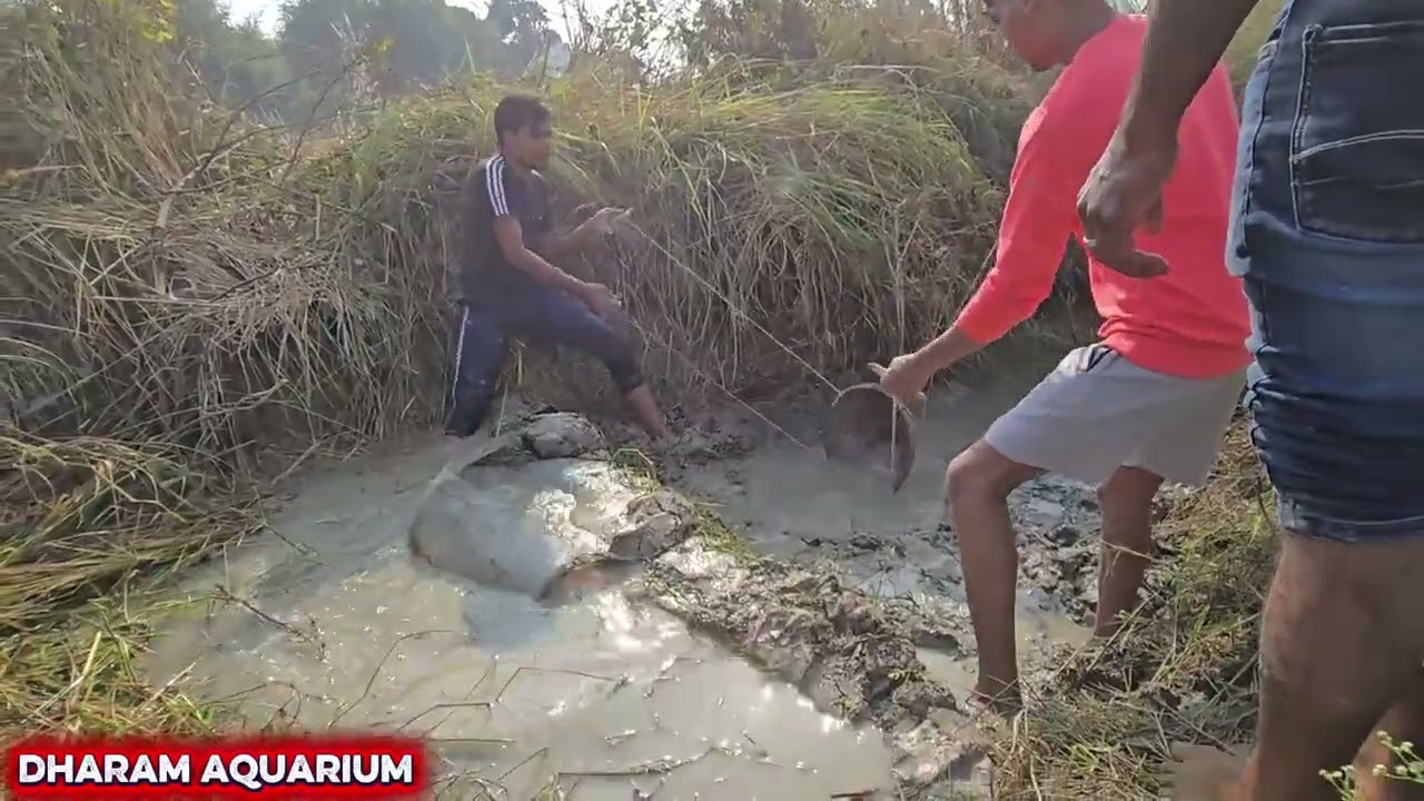 Desi fishing villagelife village video 