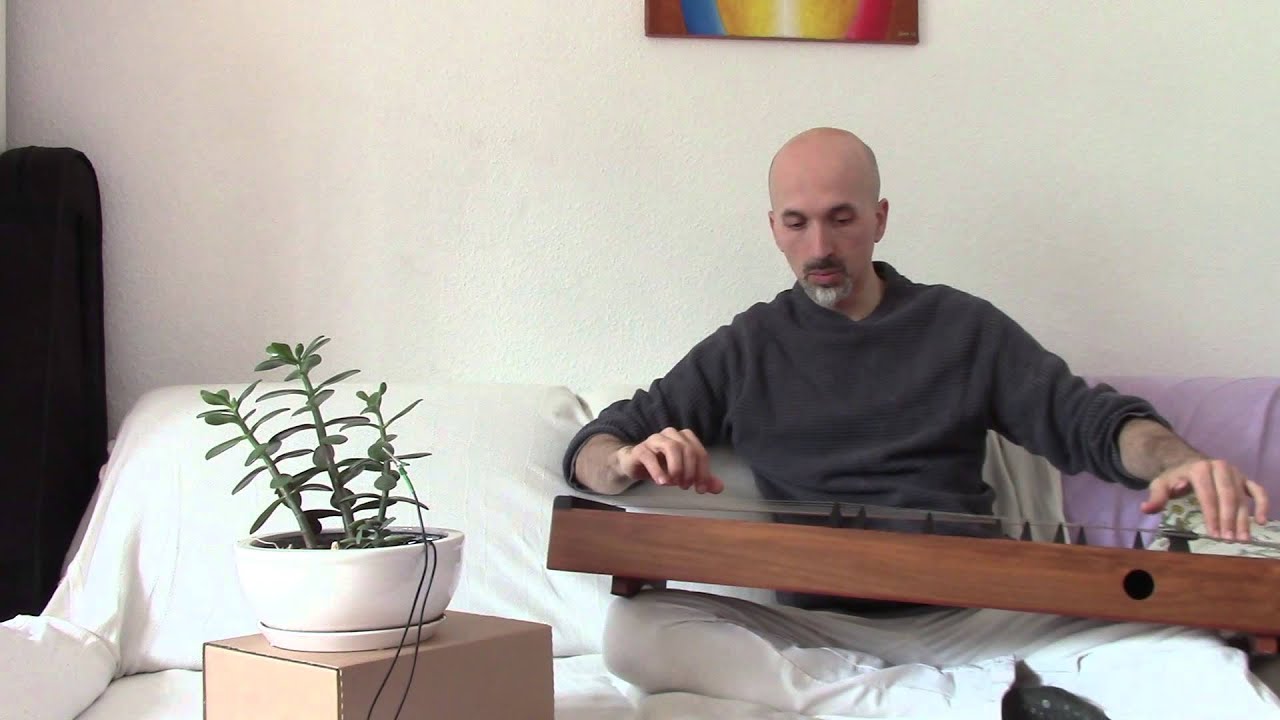 Music of the plants - Live duet