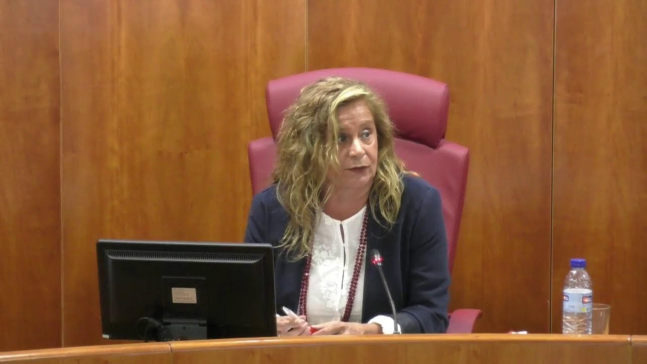 Pleno da corporación municipal do Concello de Vigo