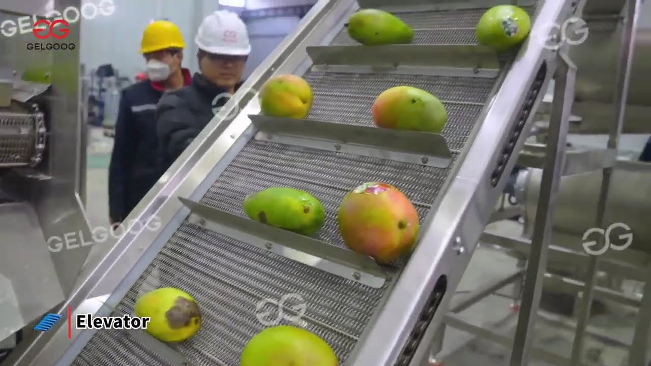 Mango Pulp Processing Machinery Jam Making Puree Production Line Engine Pump Fruit Food Processing