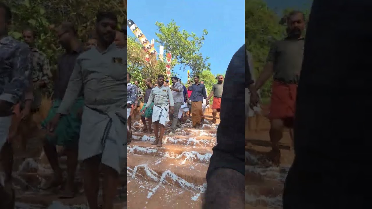 Varavu