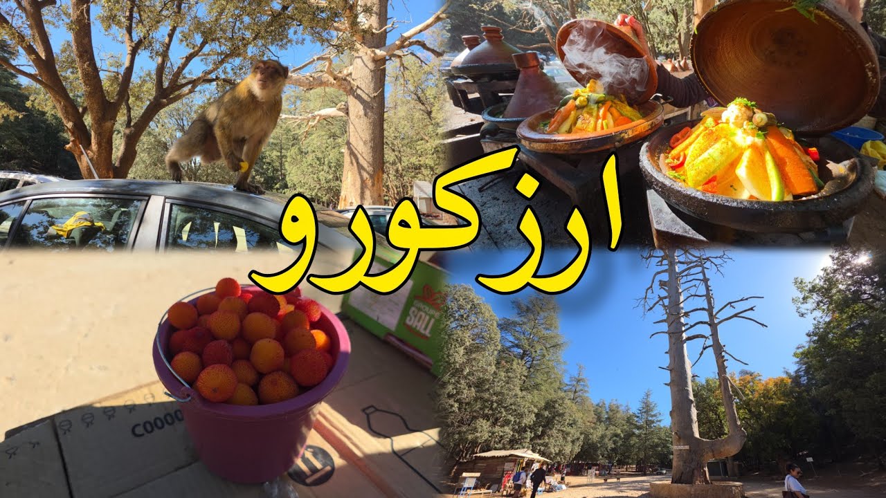 ارزكورو سحر الطبيعة أطلس إقليم ازرو
