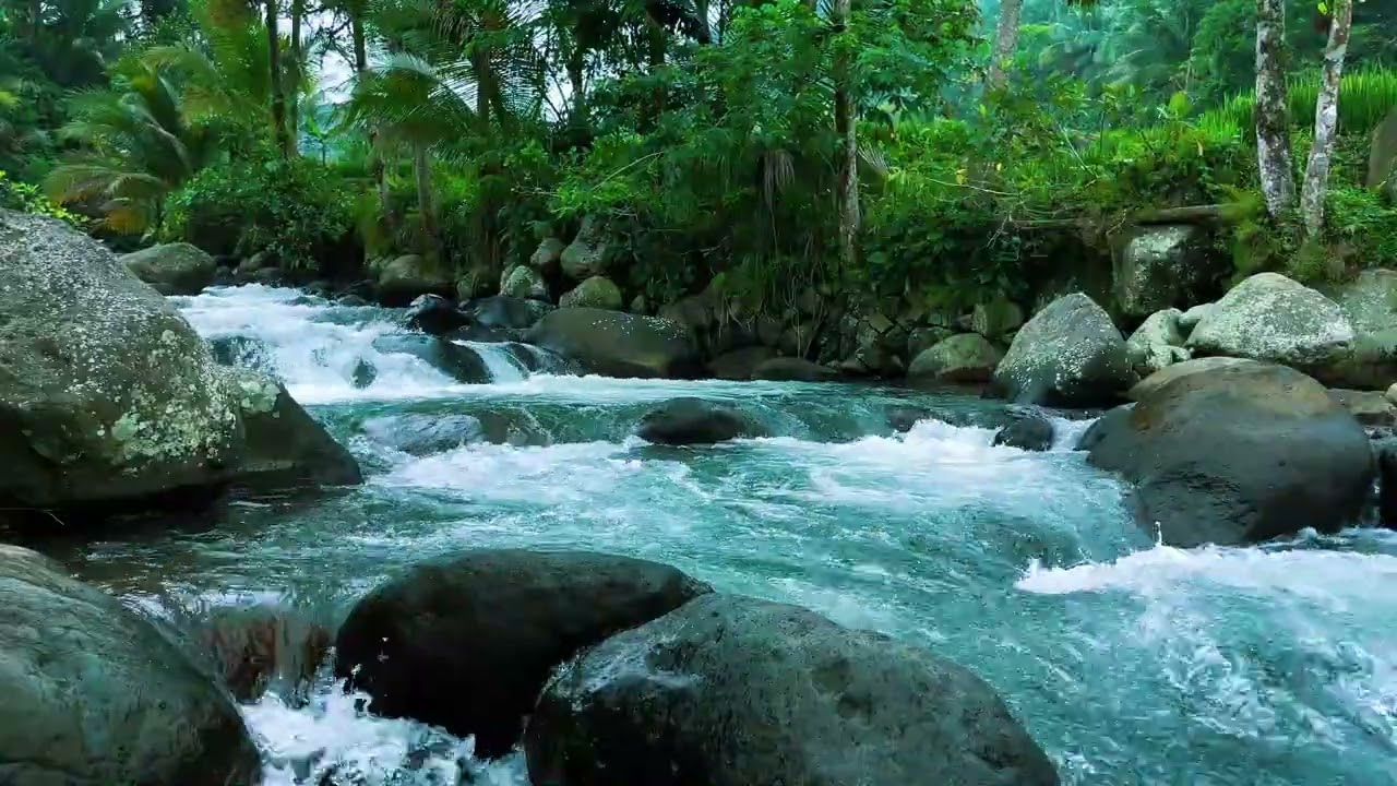 Sleep Instantly with Soothing River Sounds | Natural Water White Noise