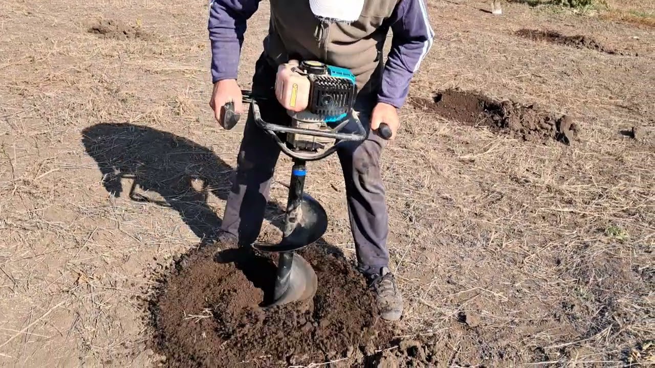Сад фундука.Садим сад сорт Трапезунд.