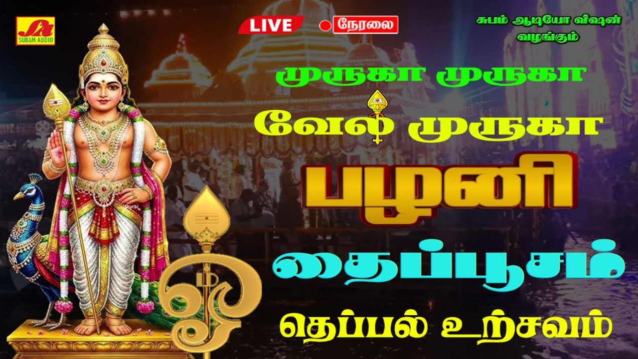 🔴LIVE  ஸ்ரீ பழநி  தண்டாயுதபாணிசுவாமி தைப்பூசம்  தெப்பல் உற்சவம்  #thaipoosamlivetelecast