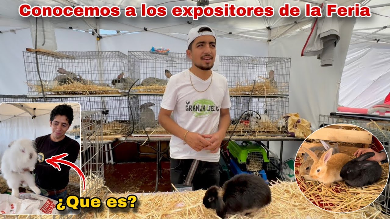 Entrevista a los Criadores de Conejos en la FERIA DEL CONEJO 🐰🤠