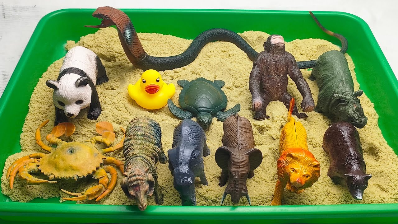 Satisfying Sand Animal Reveal Compilation | ASMR Relaxing Sounds
