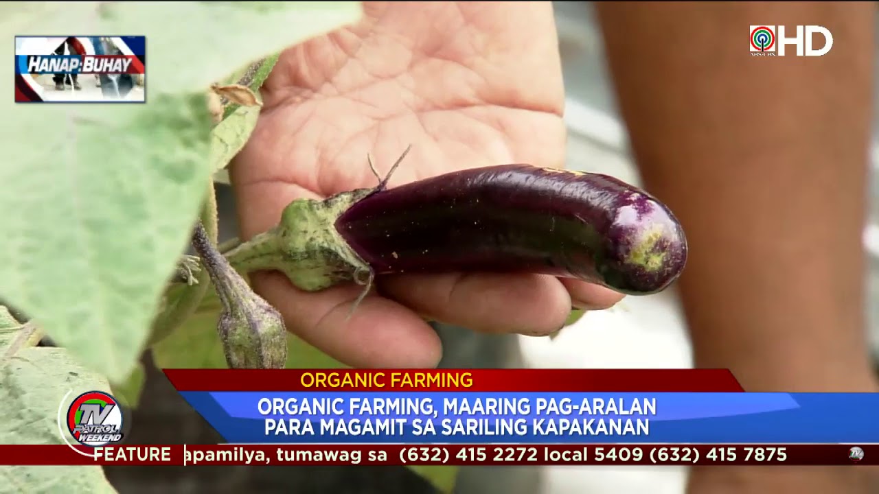 hanap buhay