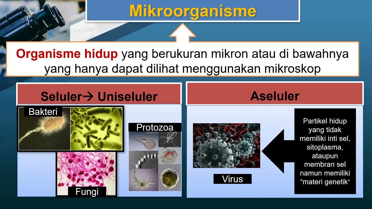 Pengantar Mikrobiologi